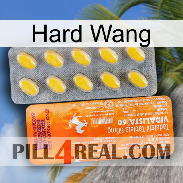 Hard Wang new05.jpg